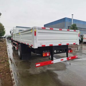 Sinotruk HOWO 4X2 371HP Lorry Truck Cargo Truck with Sidewall (7)