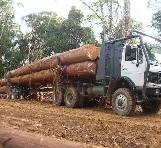 HOWO Timber/Log Truck for wood transportation插图2