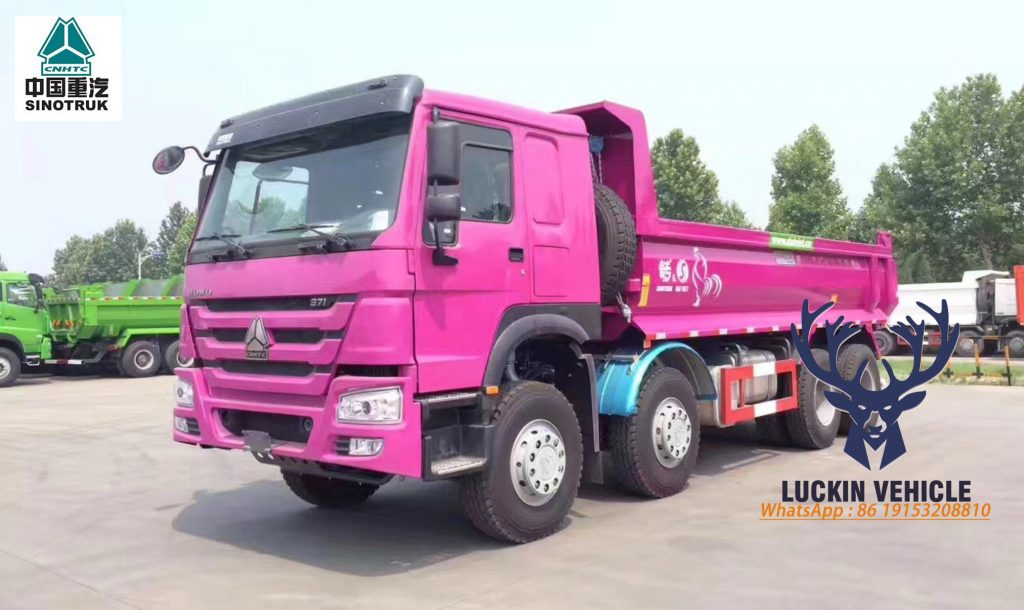 Cameroon customers come to our LUCKIN VEHICE factory for test drive HOWO 371 Dump Truck插图1